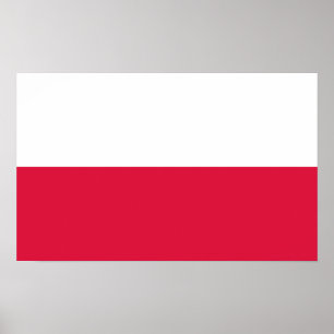Poster Pologne - Drapeau polonais
