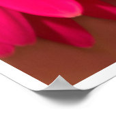 Poster Polonais Ces Murs Posh (Coin)