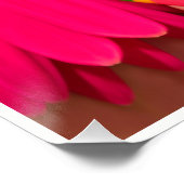 Poster Polonais Ces Murs Posh (Coin)