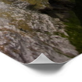 Poster Polperro, Cornouailles (Coin)