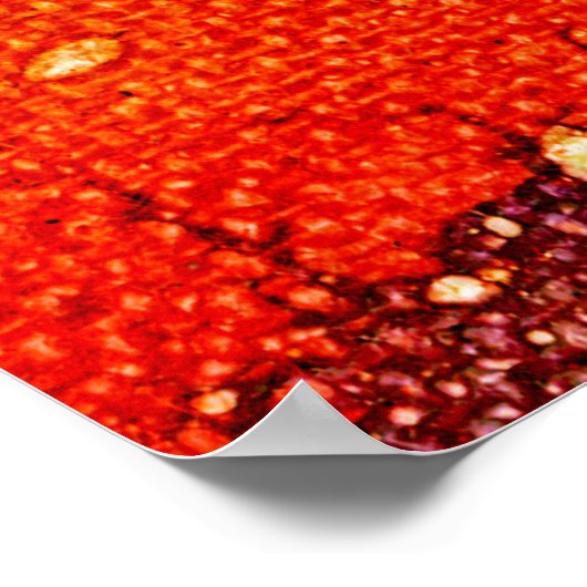 Poster Polychromoptique #3 par Michael Moffa (Coin)