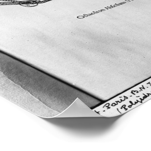 Poster Polyèdre, de 'De Divina Proportione' (Coin)