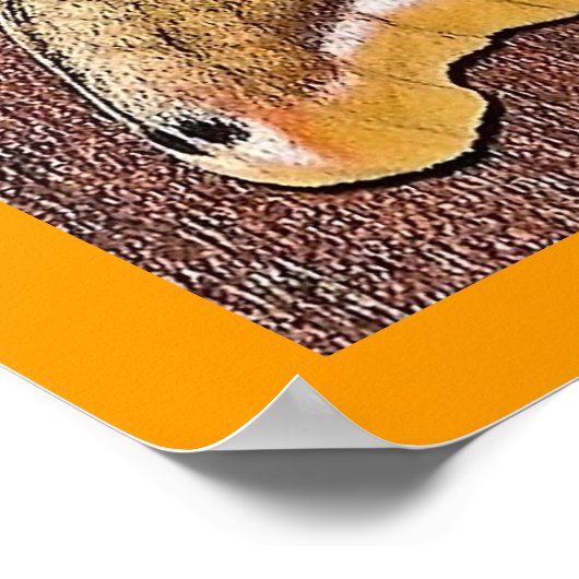 Poster Polyphemus Moth (Coin)