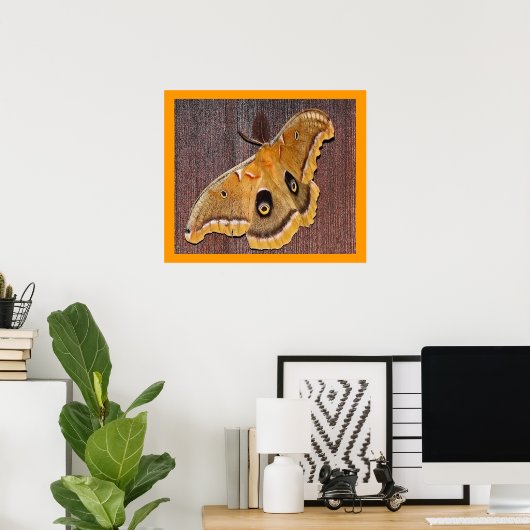 Poster Polyphemus Moth (Bureau à domicile)