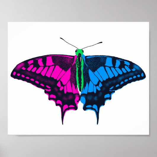 Poster Polysexual Pride Flag Swallowtail Butterfly (Devant)