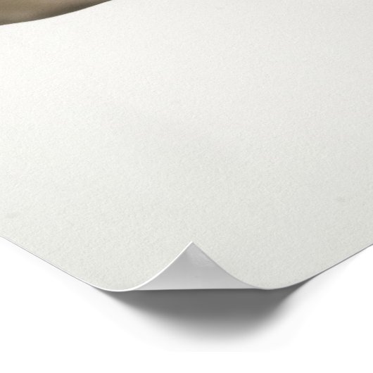 Poster Pom-pom girl faisant des éclaboussures en plein ai (Coin)