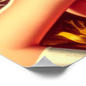 Poster Pom-pom girl rétro (Coin)