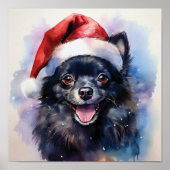Poster Pomchi Père Noël (Devant)