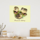 Poster Pomeranian jaunets buff (Cuisine)