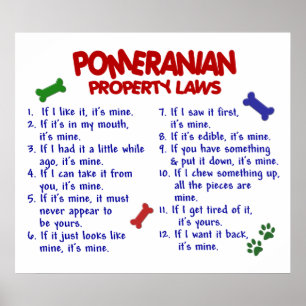 POSTER POMERANIAN PL2