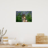 Poster Poméranien dans l'herbe (Cuisine)