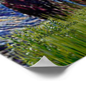 Poster Poméranien (noir) - Nuit étoilée (Coin)