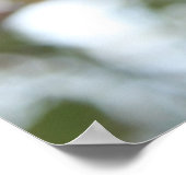 Poster Pomme de crabe dans l'arbre (Coin)