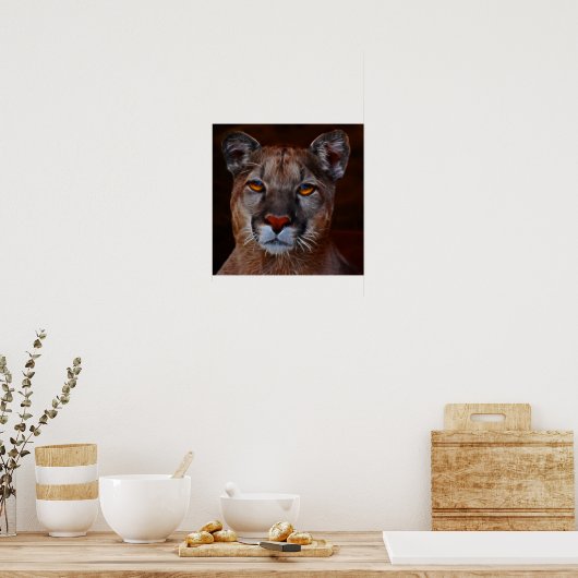 Poster Pomme de lion de montagne (Cuisine)