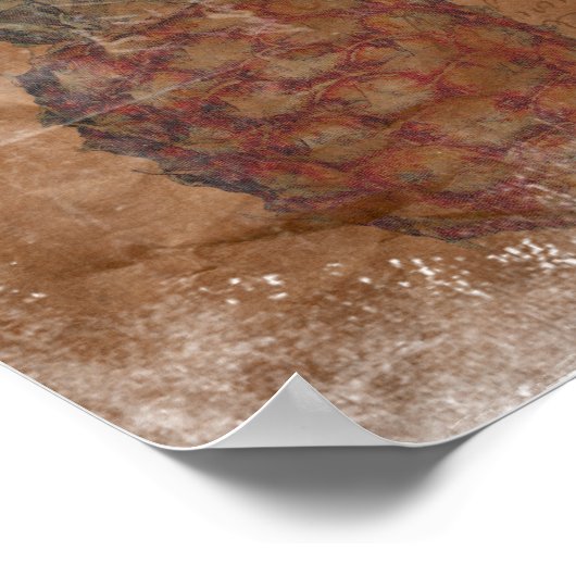 Poster pomme de pin (Coin)