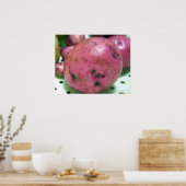 Poster Pomme de terre rouge Norland (Cuisine)