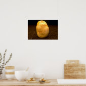 Poster Pomme de terre sur terre (Cuisine)