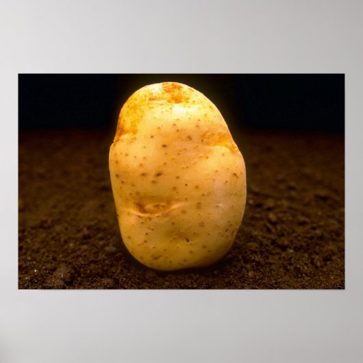 Poster Pomme de terre sur terre (Devant)
