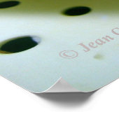 Poster Pomme de terre Yukon Gold (Coin)