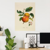 Poster Pomme Princesse (Bureau à domicile)