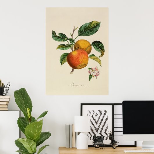 Poster Pomme Princesse (Bureau à domicile)