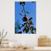 Poster Pomme rouge sur branche (Cuisine)