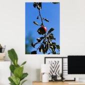 Poster Pomme rouge sur branche (Bureau à domicile)