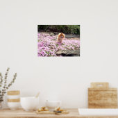 Poster | Pommeren Roze Bloemen 2 (Keuken)