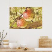 POSTER POMMES (Cuisine)