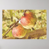 POSTER POMMES (Devant)