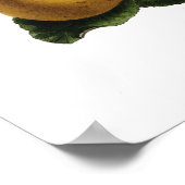 Poster Pommes (Coin)