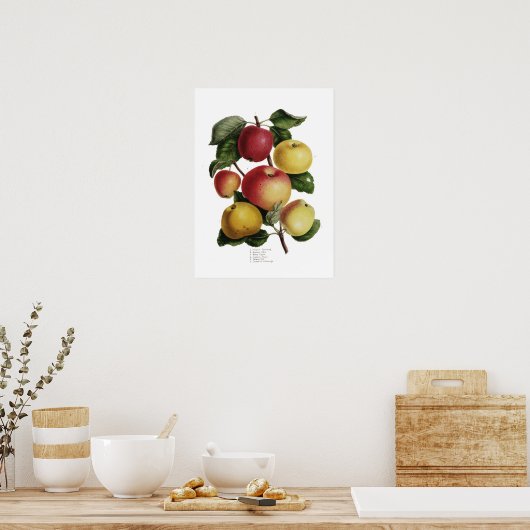 Poster Pommes (Cuisine)