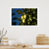 Poster Pommes (Cuisine)