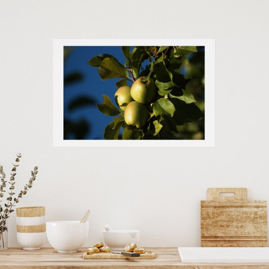 Poster Pommes (Cuisine)