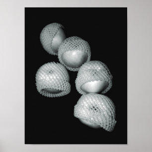 Poster Pommes dans les enveloppes