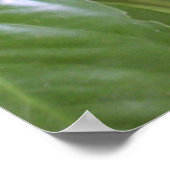 Poster Pommes de montagne II (Coin)