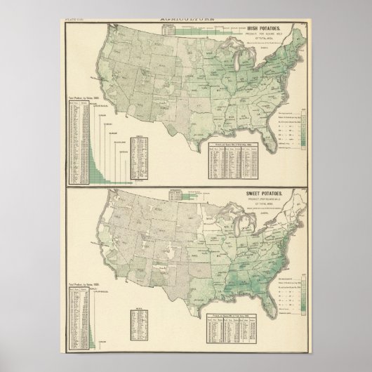 Poster pommes de terre irlandaises et douces et foin (Devant)
