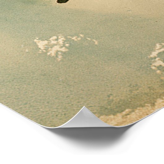 Poster Pommes d'une branche (Coin)