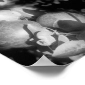 Poster Pommes McIntosh Sur Arbre Noir Et Blanc Abstrait (Coin)