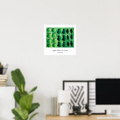 Poster Pommes, poires et limes (Bureau à domicile)