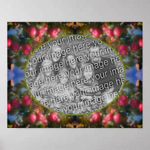 Poster Pommes Rouges Sur Arbre Ajouter Votre Photo