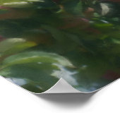 Poster Pommes Rouges Sur La Peinture Photo D'Arbre (Coin)