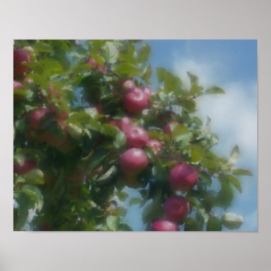 Poster Pommes Rouges Sur La Peinture Photo D'Arbre (Devant)