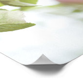 Poster Pommes sur la branche de l'arbre. (Coin)