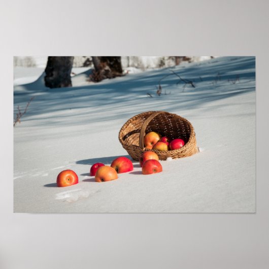 Poster Pommes sur la neige (Devant)