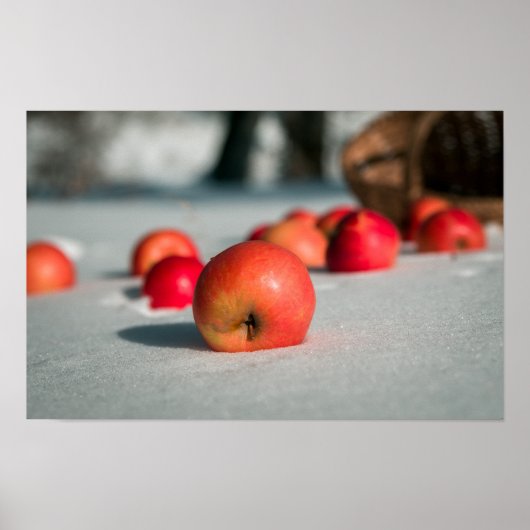 Poster Pommes sur la neige (Devant)