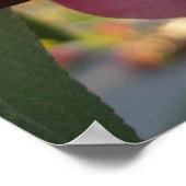 Poster Pommier de crabe rose (Coin)