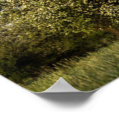 Poster Pommier en fleurs (Coin)