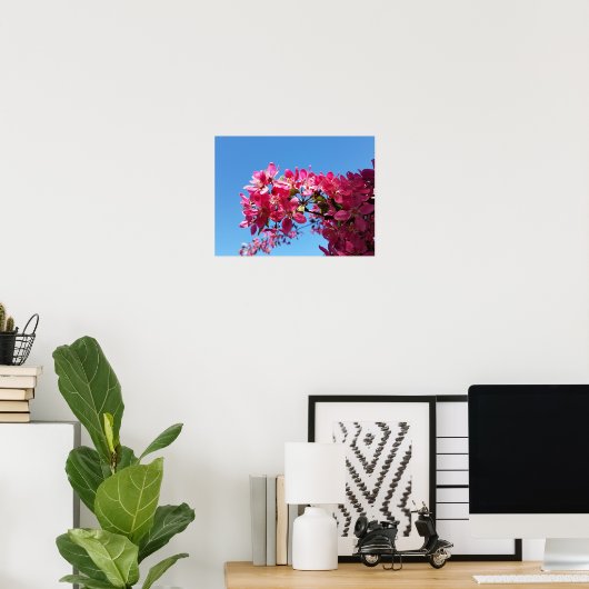 Poster Pommier en fleurs. Fleurs roses. (Bureau à domicile)
