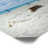 Poster Pompe de plage Bahamas (Coin)